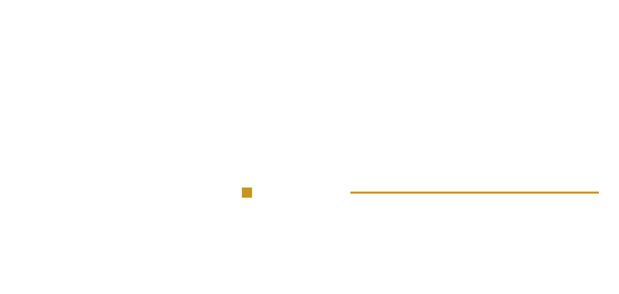 NAYL Group